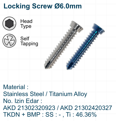 Locking Screw Ø6